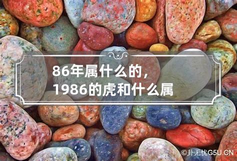 1986 属相|1986年属什么 1986年属什么生肖配对